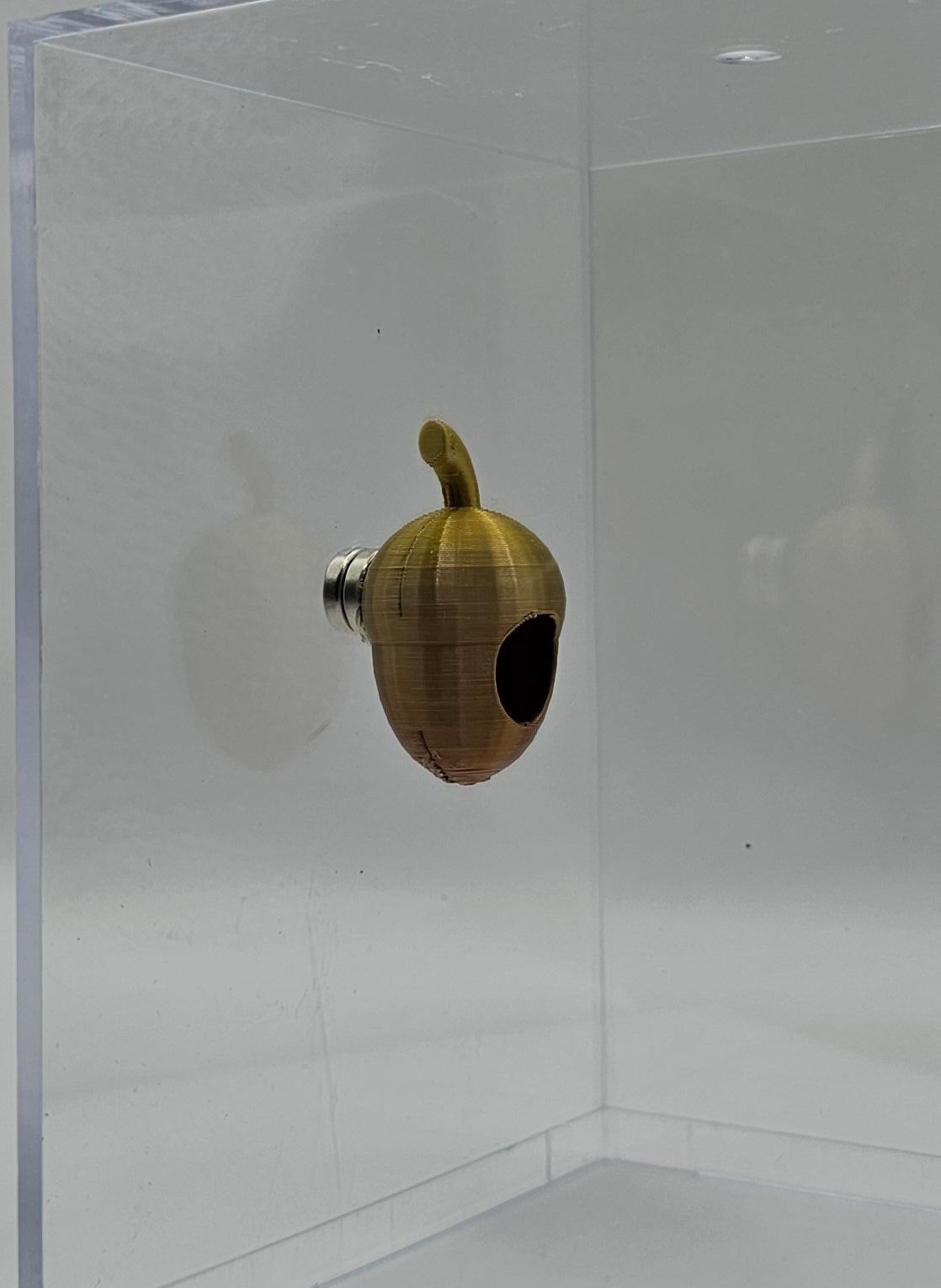 Acorn Hide