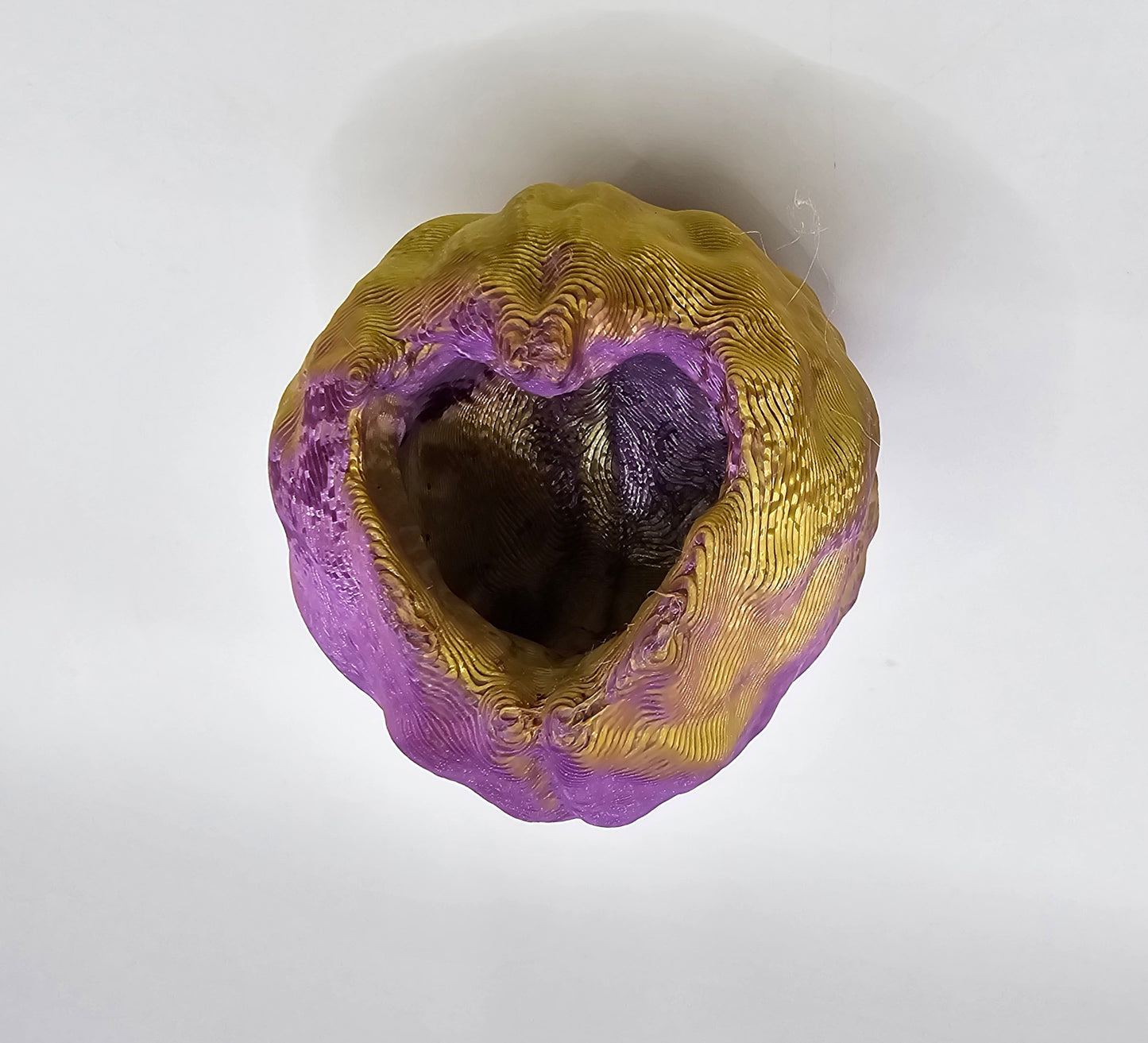 Walnut (Heart Hole) Hide