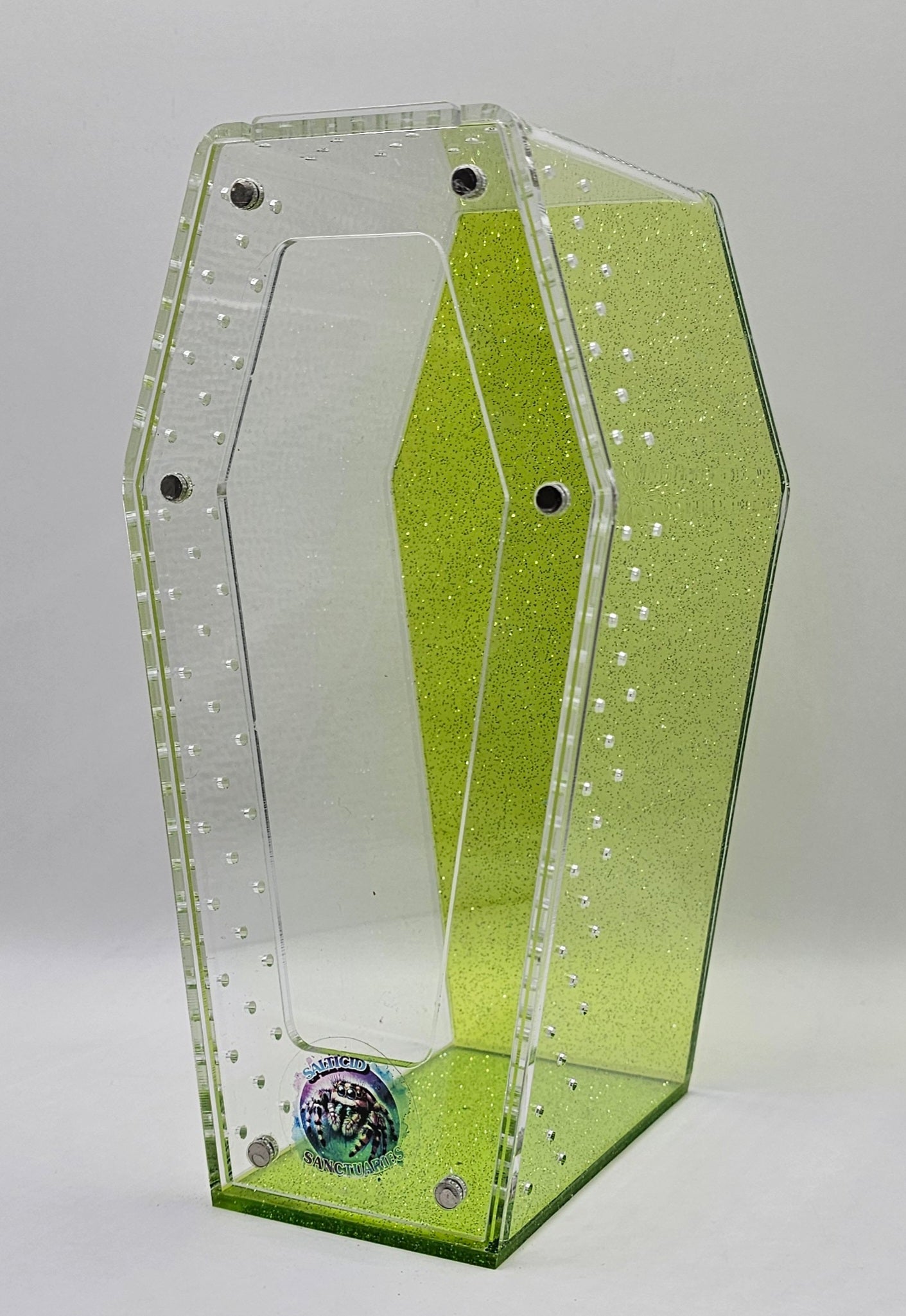 Coffin Jumping Spider Enclosure (6 COLORS!)