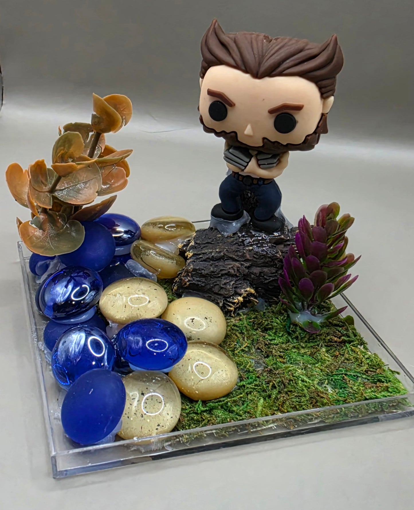 Wolverine & Dark Phoenix Enclosure