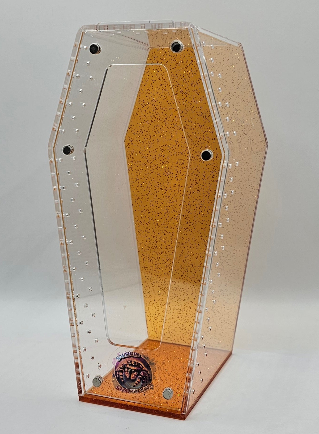 Coffin Jumping Spider Enclosure (6 COLORS!)