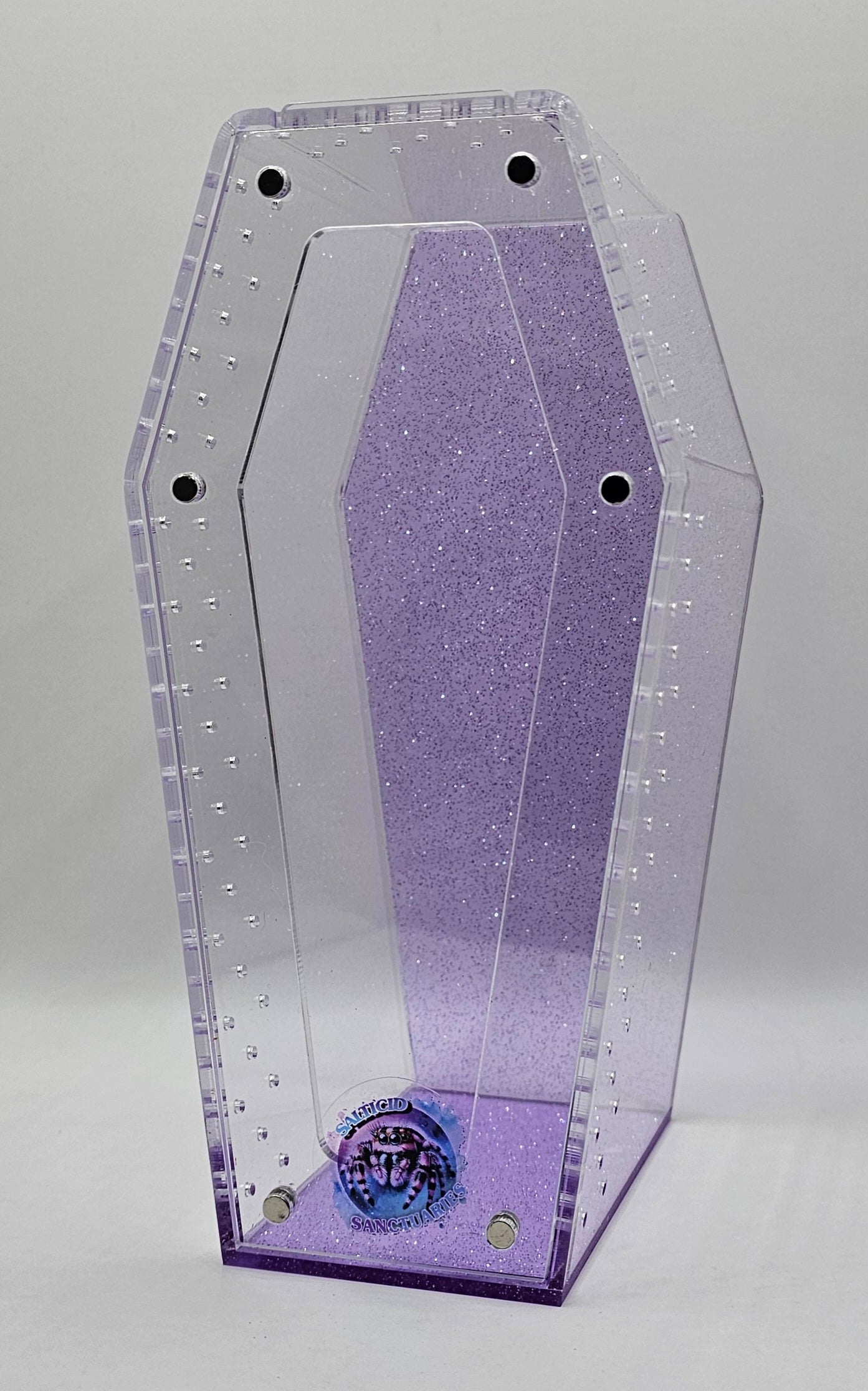Coffin Jumping Spider Enclosure (6 COLORS!)
