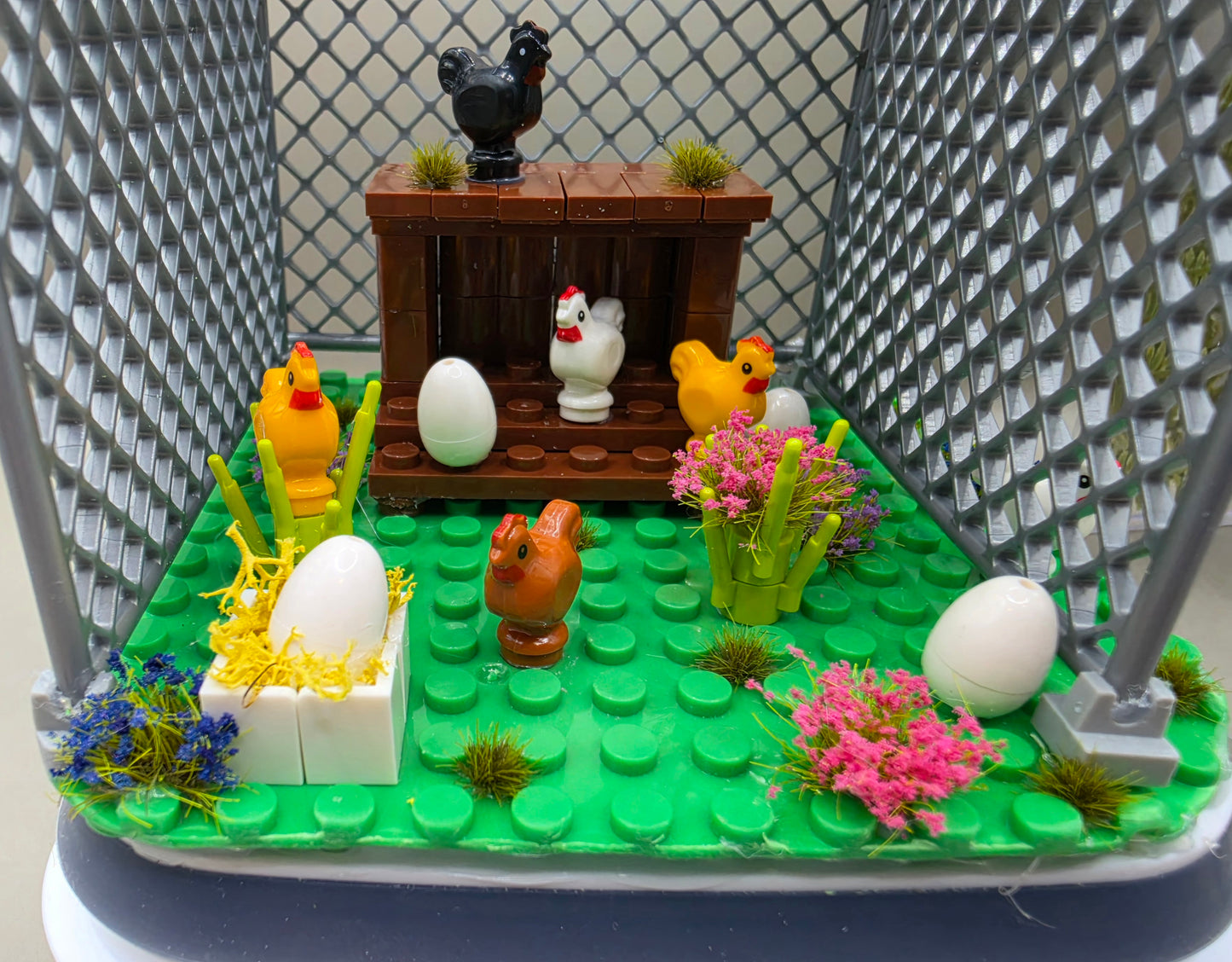 Chicken Coop Enclosure