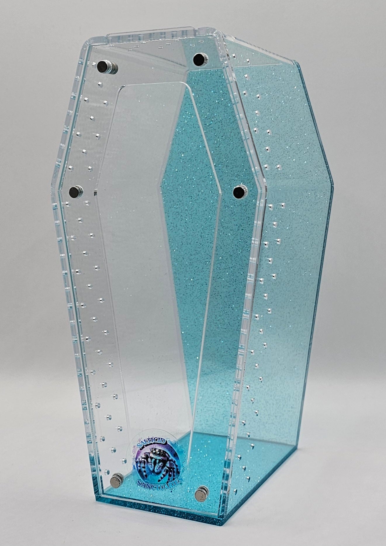 Coffin Jumping Spider Enclosure (6 COLORS!)