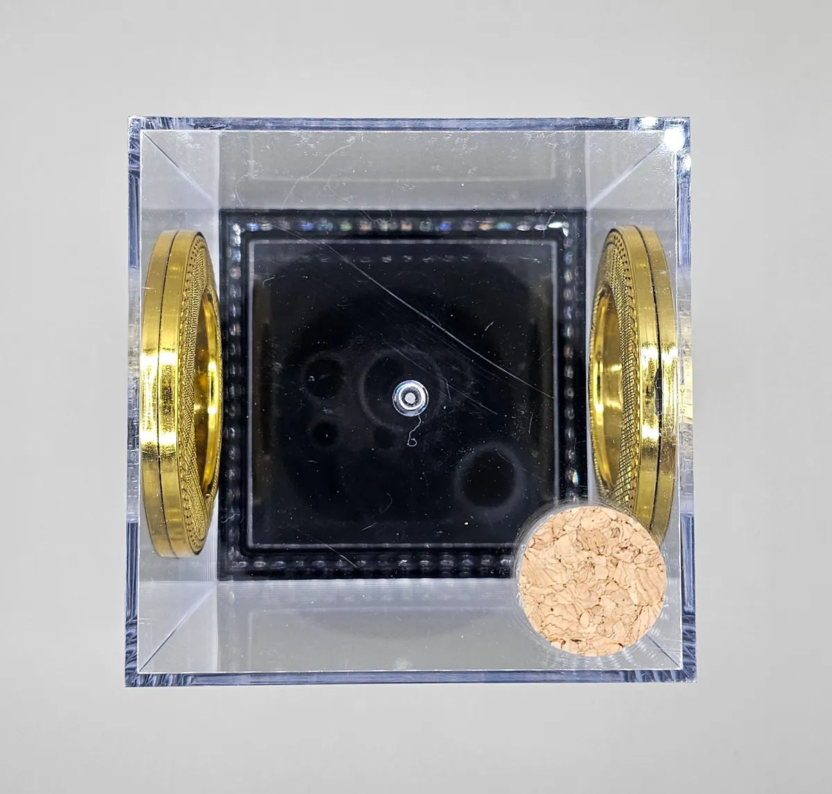 Acrylic Arboreal Bottom Opening Enclosure (With Feeding Hole)