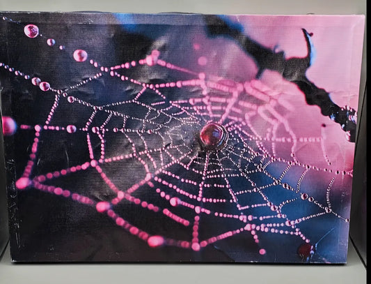 Framed Spider Web Canvas