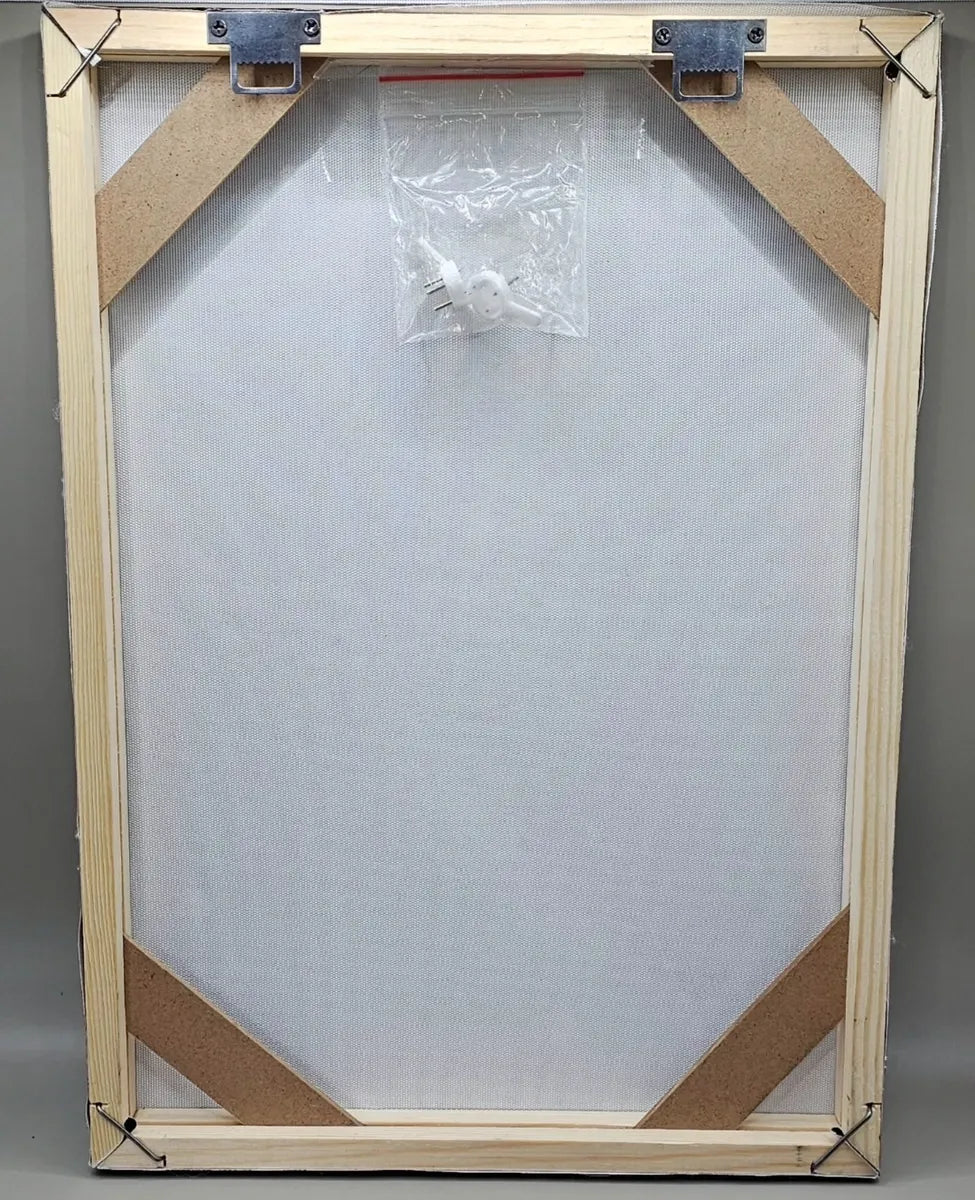 Framed Spider Web Canvas