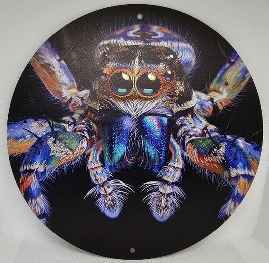 Spider Tin Signs (Multiple Styles!)