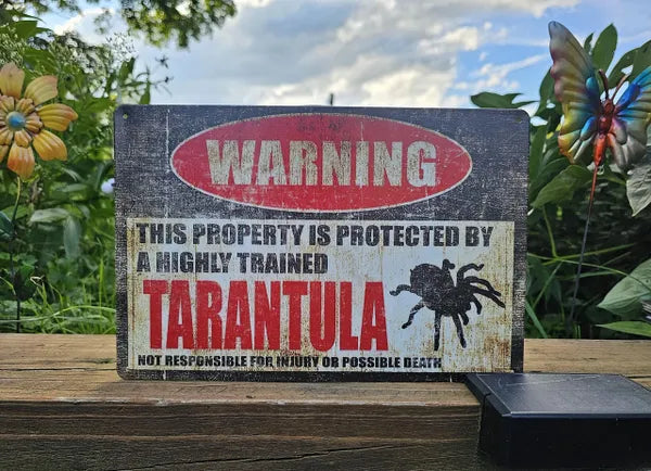 Spider Tin Signs (Multiple Styles!)