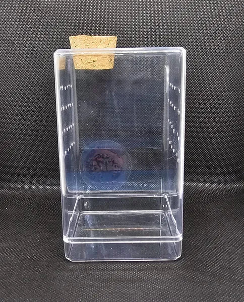 Rectangular Bottom Opening Enclosure (With Feeding Hole)