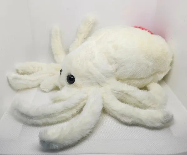 Jumping Spider & Widow Plush/Stuffy (Multiple Colors!)