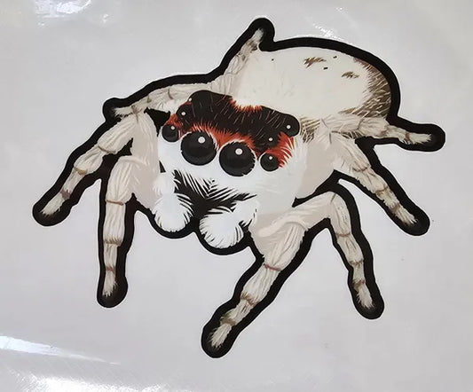 White Jumping Spider Decal