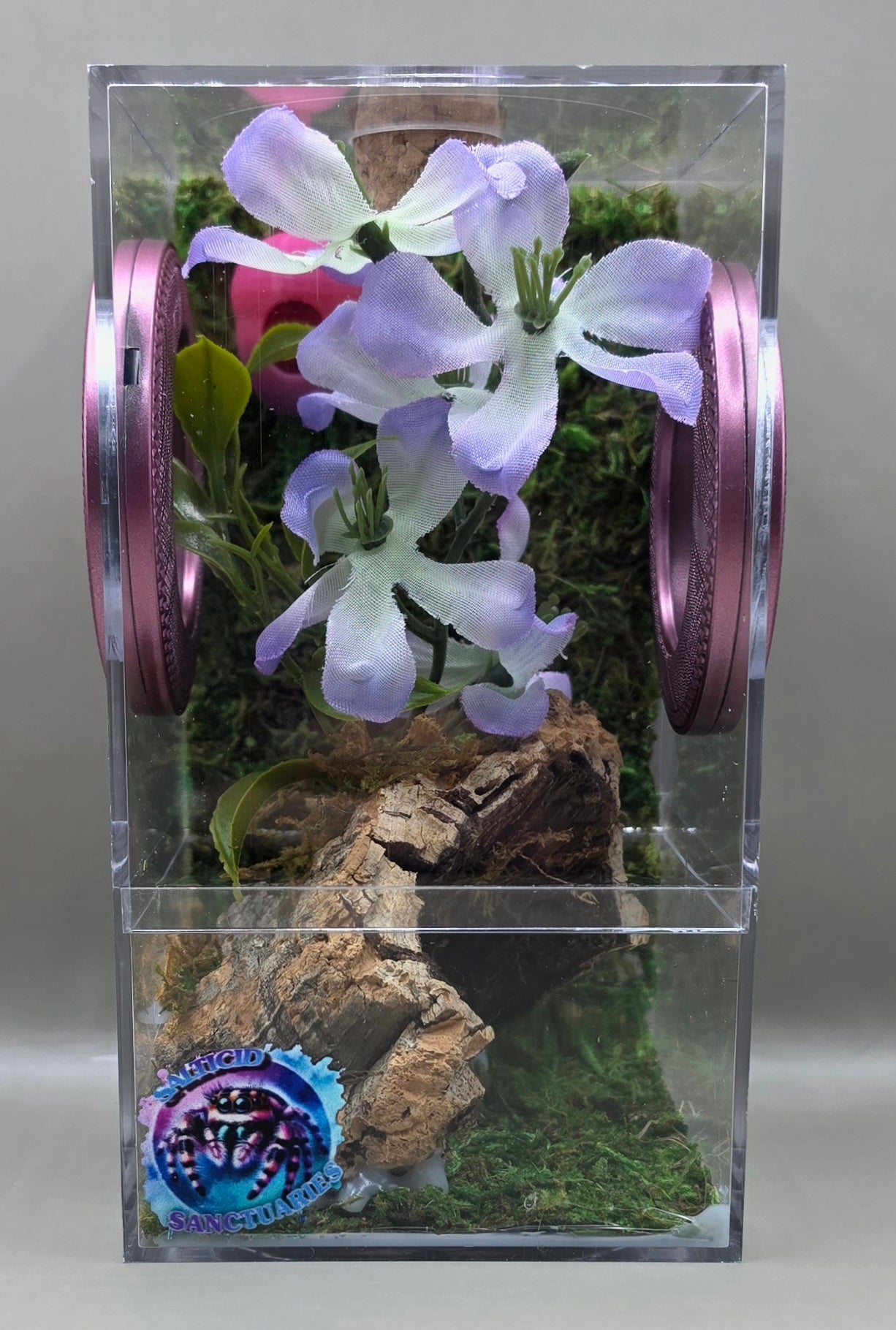 Decorated Mantis Enclosures