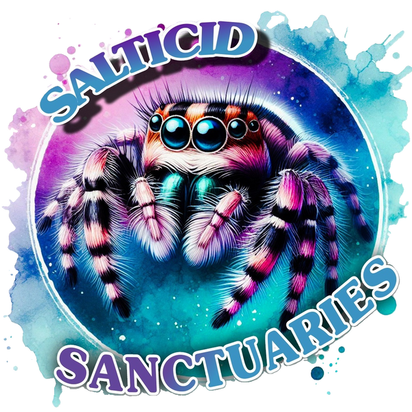Salticid Sanctuaries