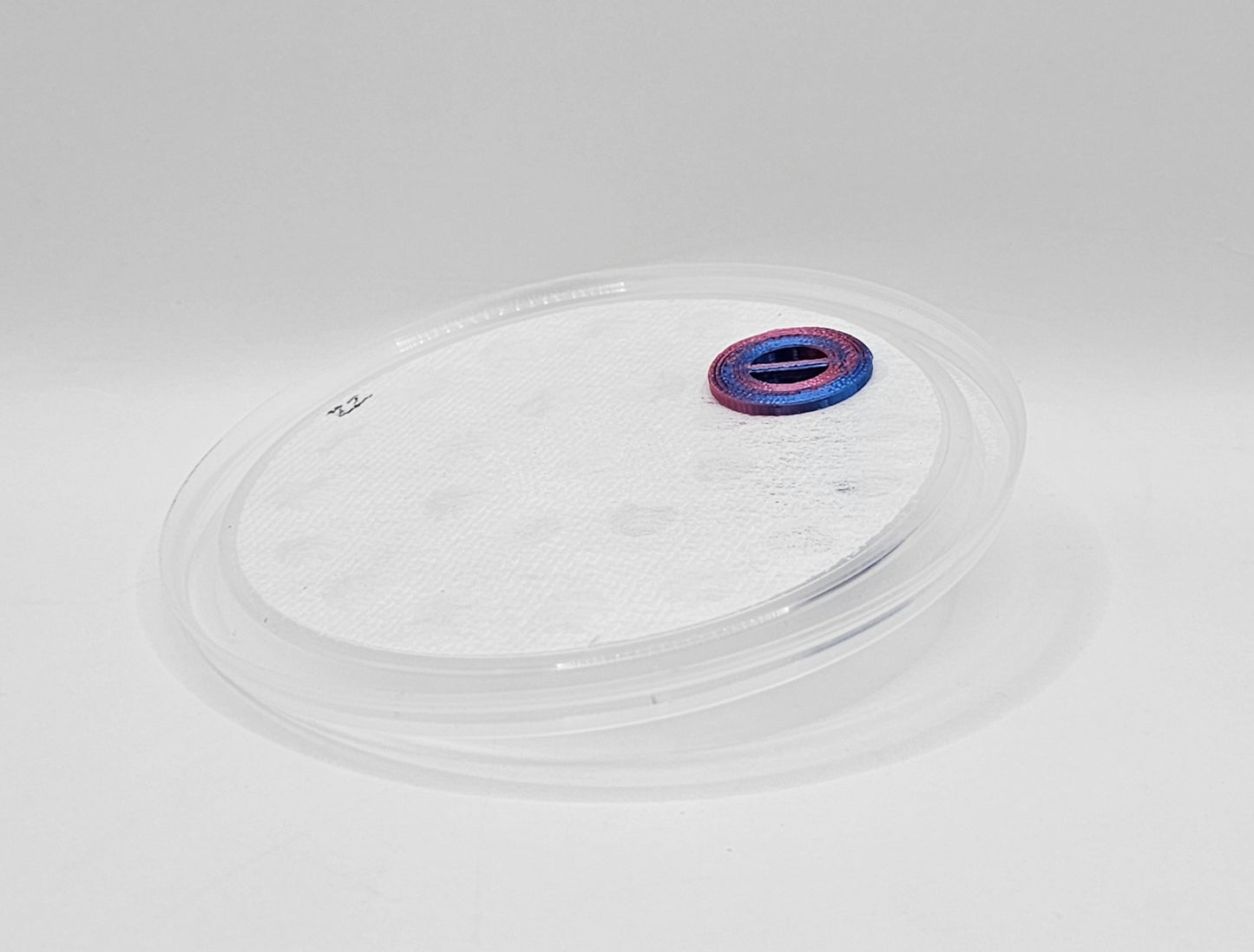 Easy Feed Fruit Fly Culture Lids