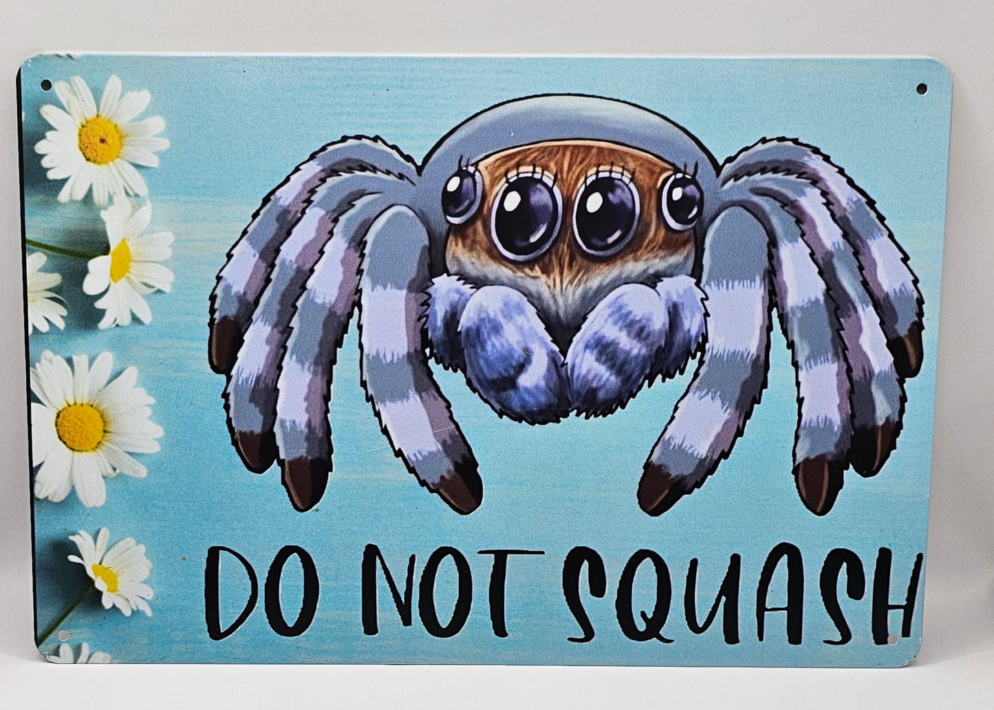 Spider Tin Signs (Multiple Styles!)