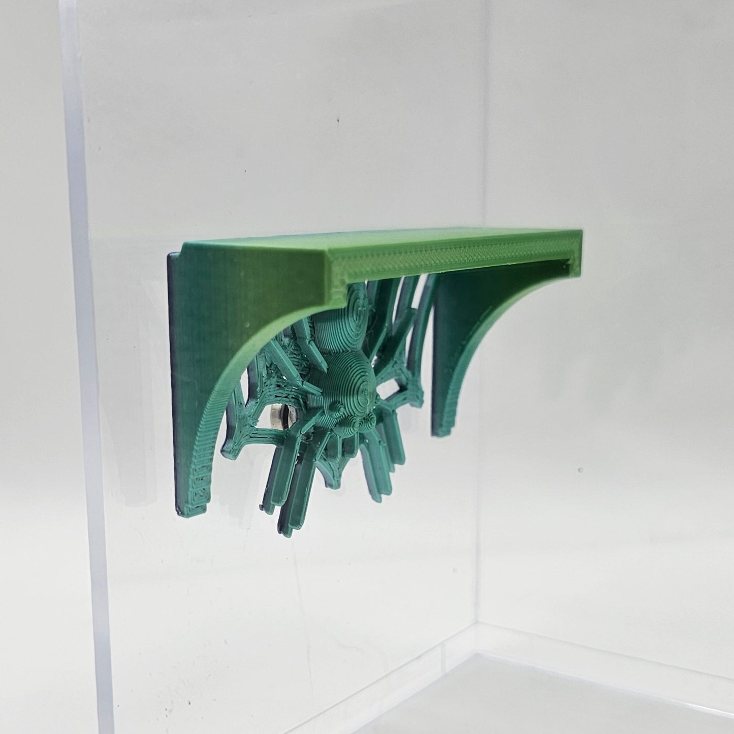 Spider Shelves