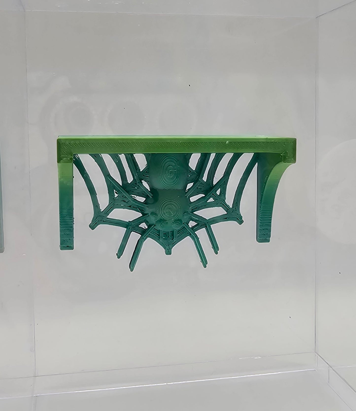Spider Shelves