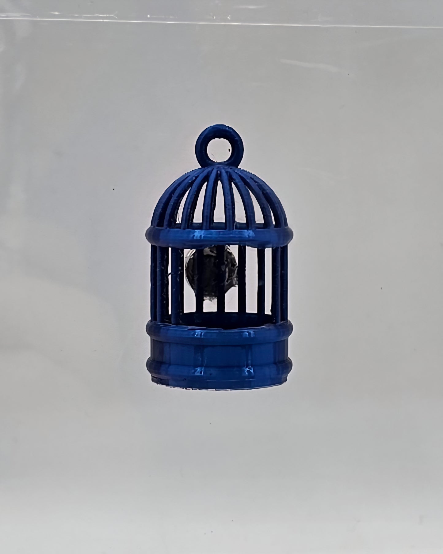 Birdcage Hide