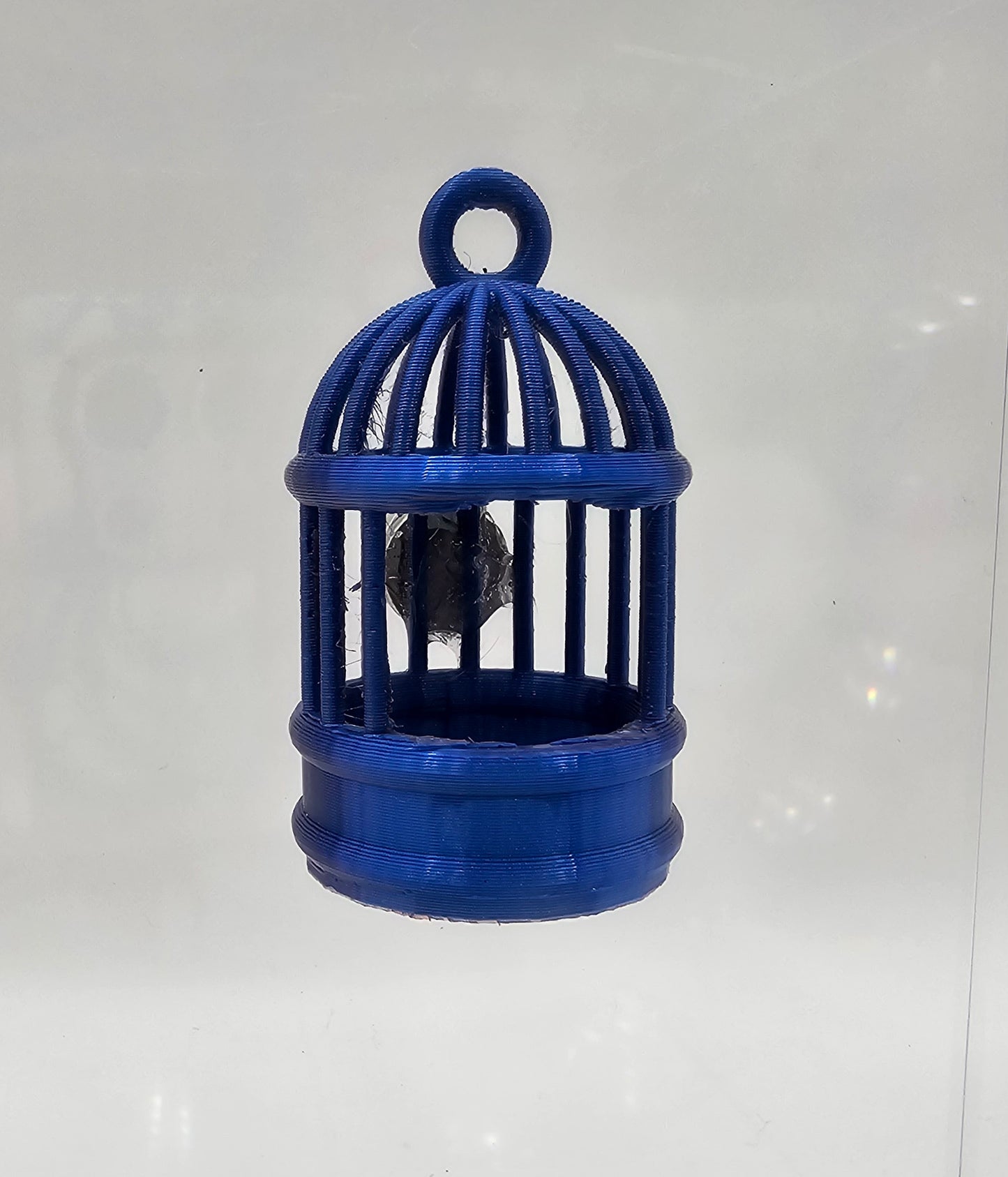 Birdcage Hide