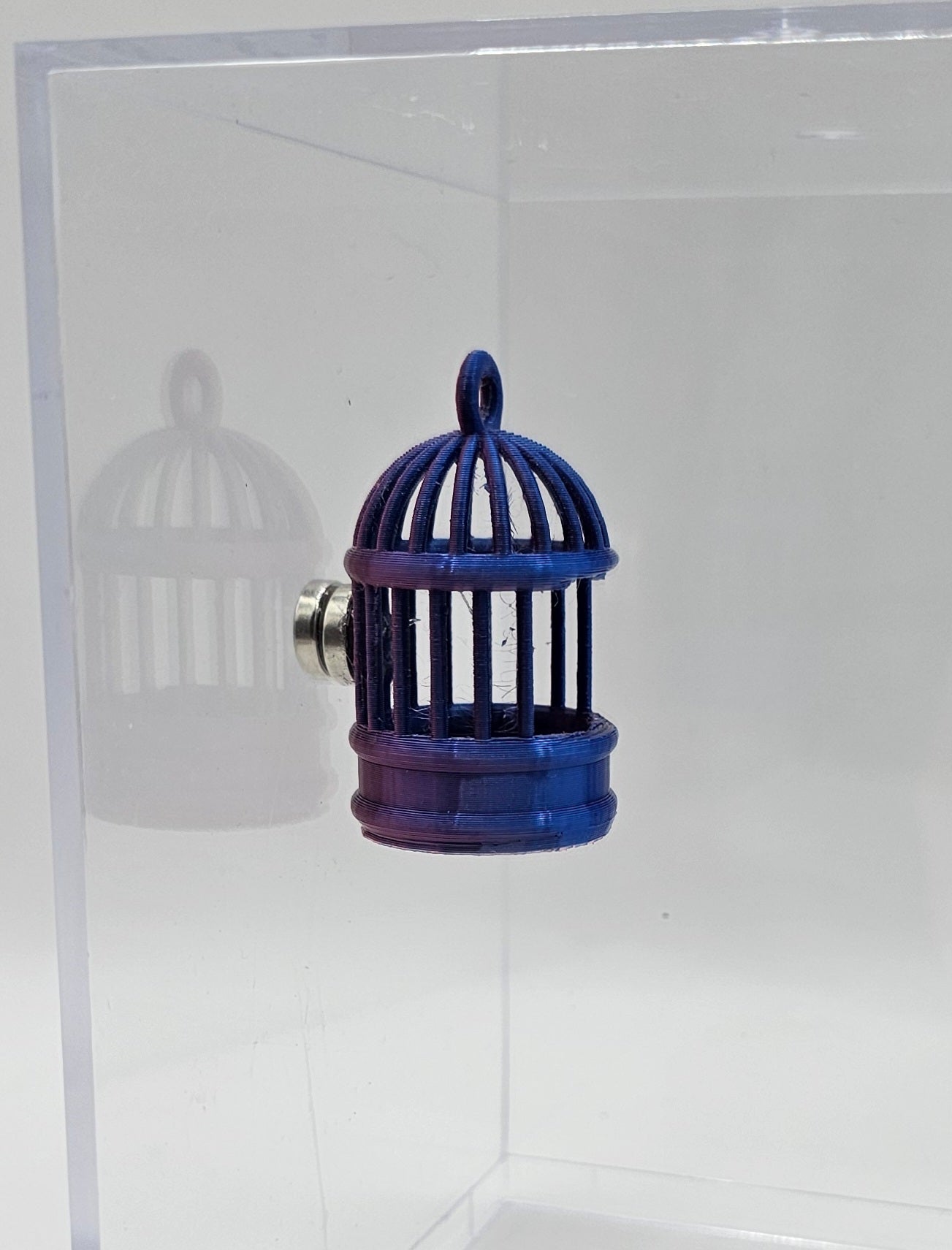 Birdcage Hide