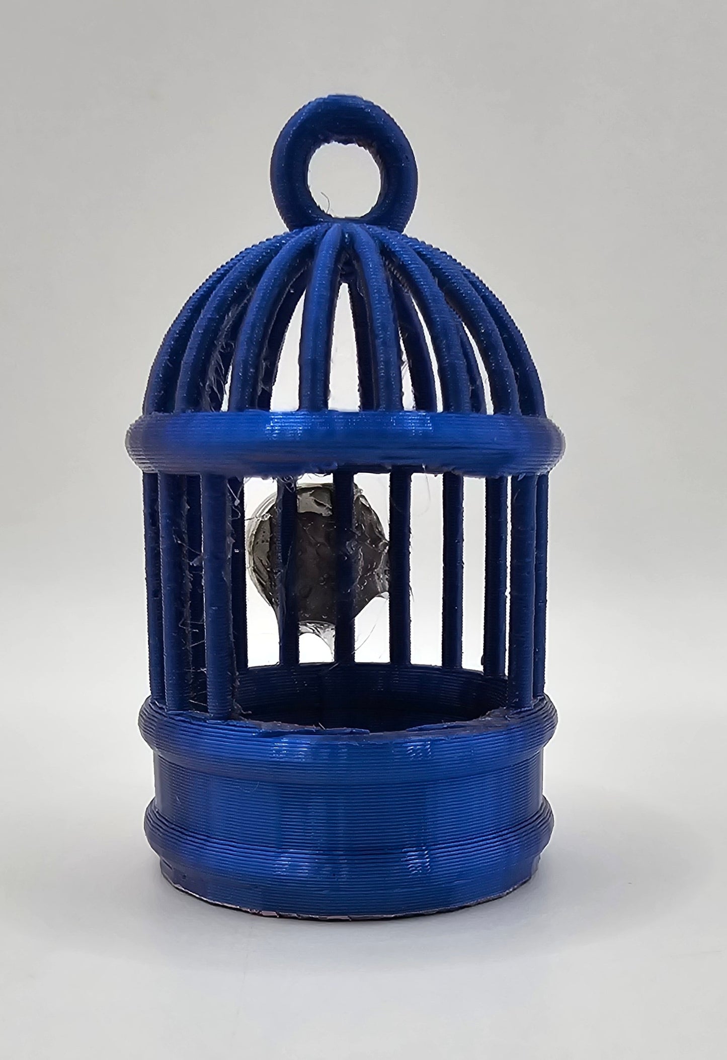 Birdcage Hide