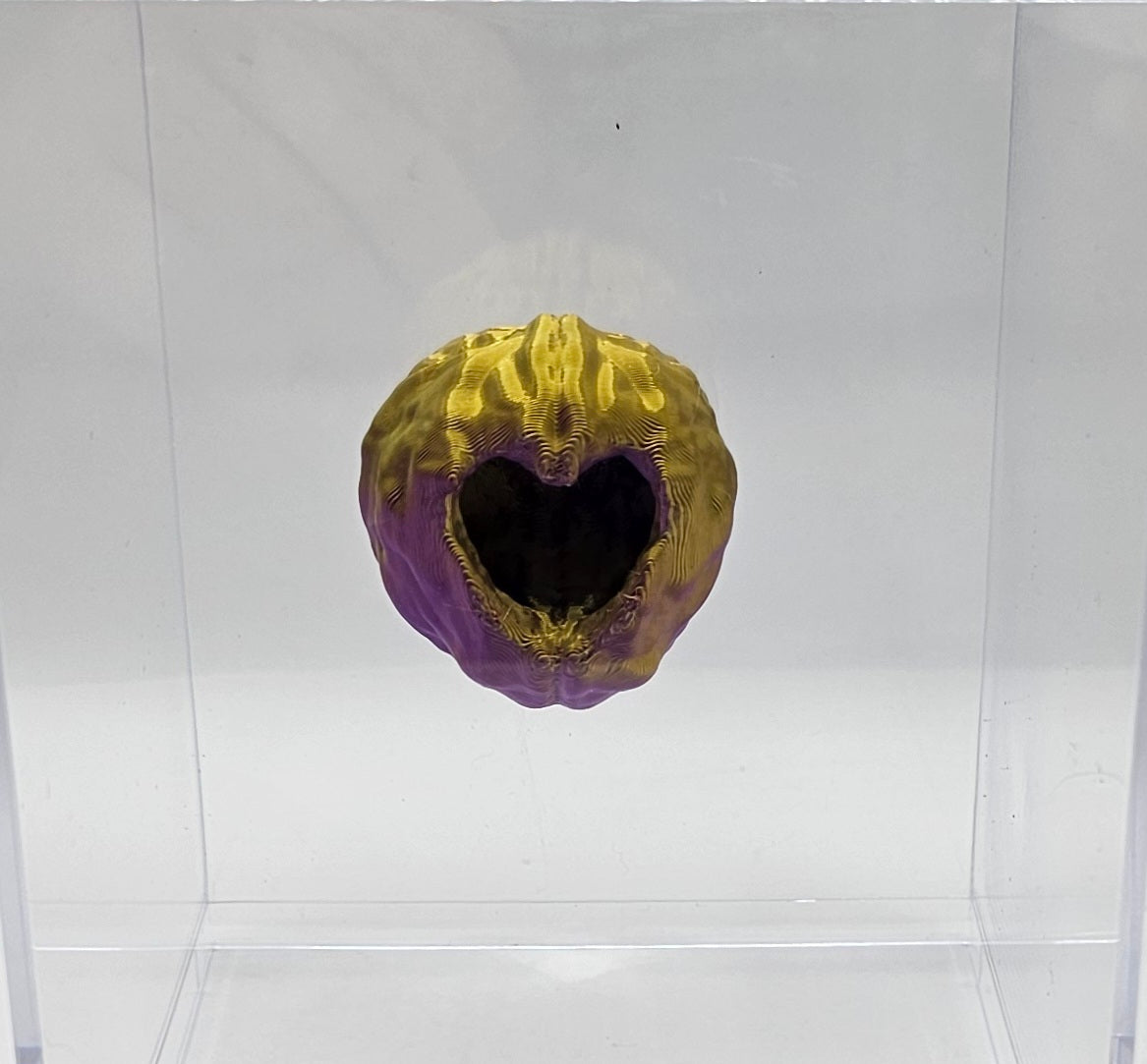 Walnut (Heart Hole) Hide