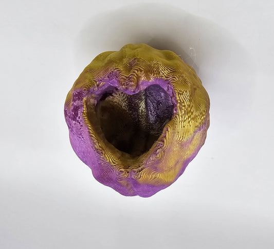 Walnut (Heart Hole) Hide