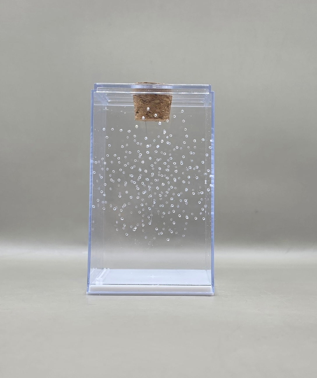 Rectangular Bottom Opening Enclosure (With Feeding Hole)