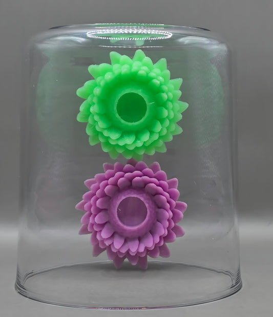 Chrysanthemum Hides