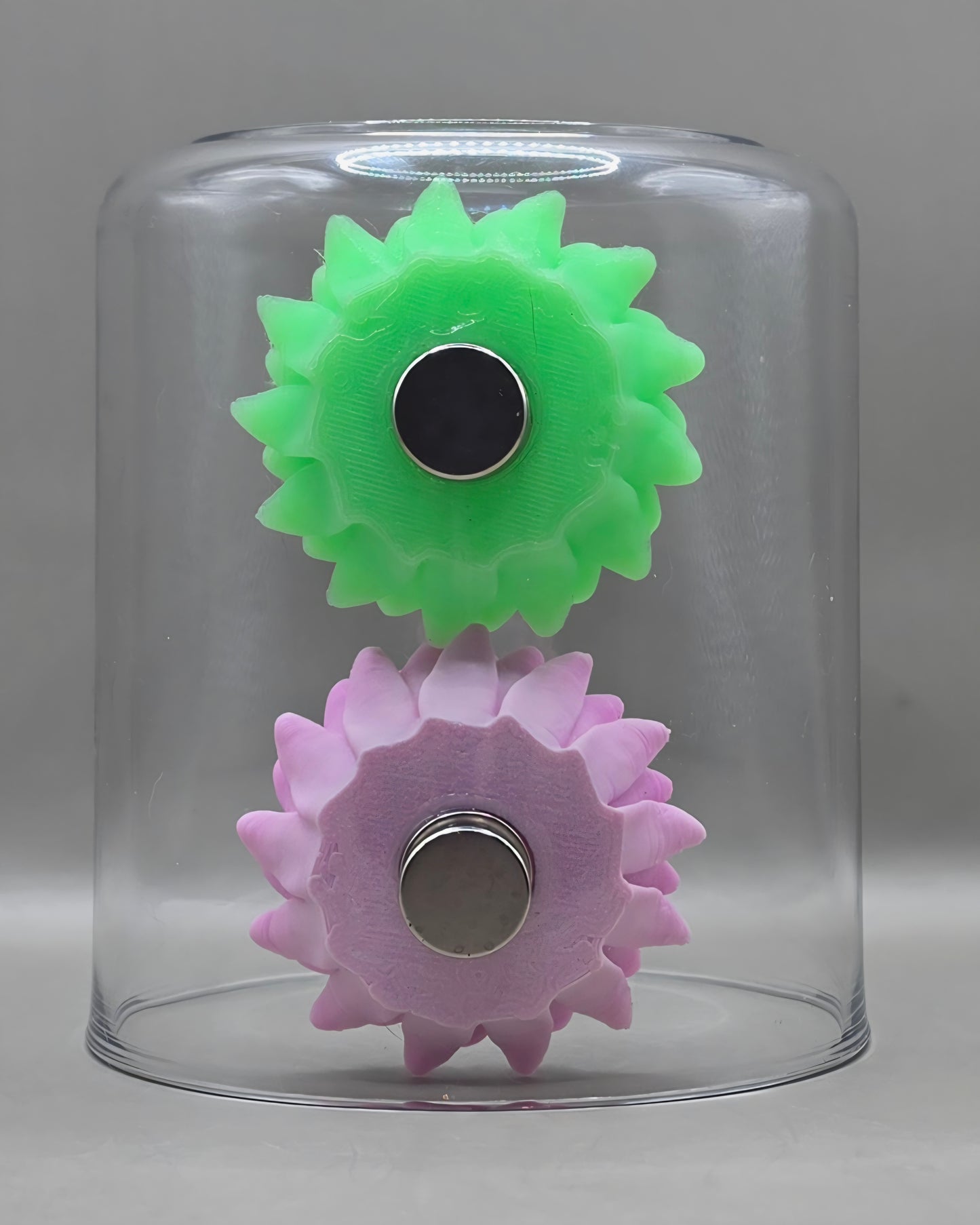 Chrysanthemum Hides