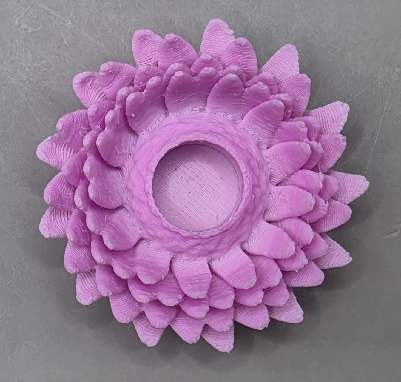 Chrysanthemum Hides