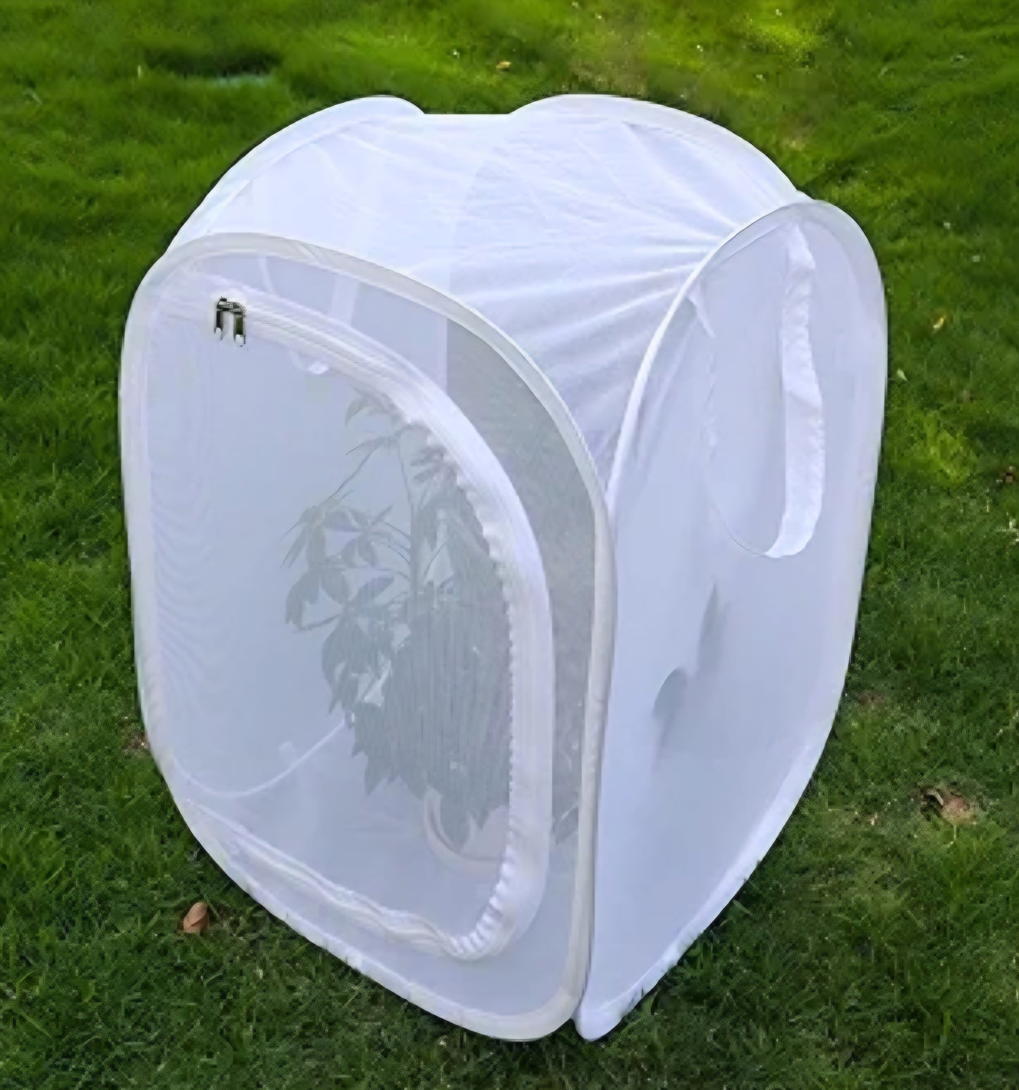 XL Mesh Mantis/Butterfly Enclosure