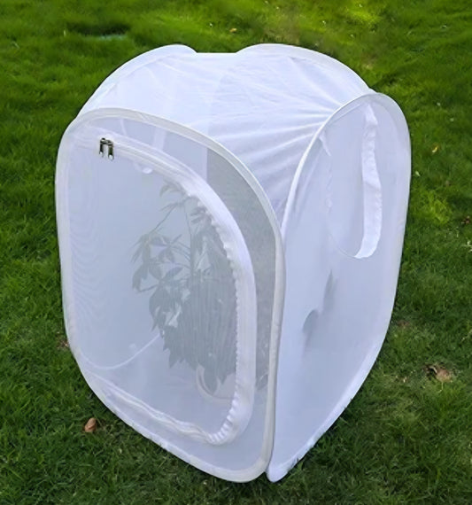 XL Mesh Mantis/Butterfly Enclosure