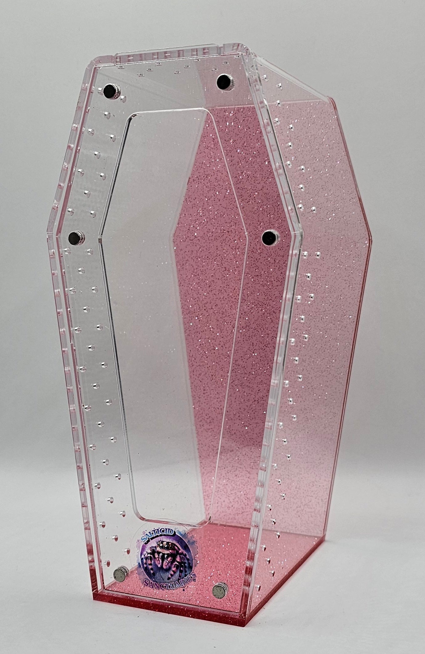 Coffin Jumping Spider Enclosure (6 COLORS!)
