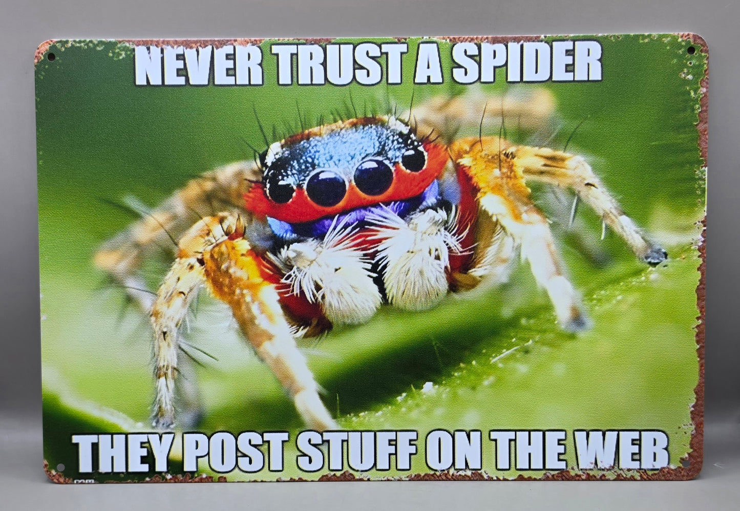 Funny Spider/Mantis Tin Signs (Multiple Styles!)