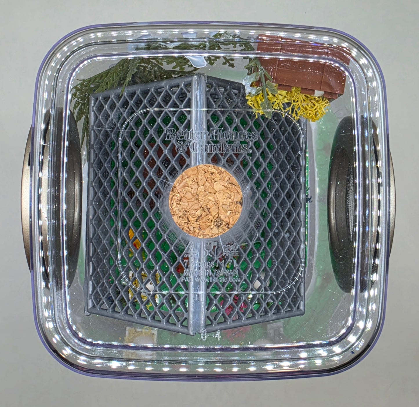 Chicken Coop Enclosure