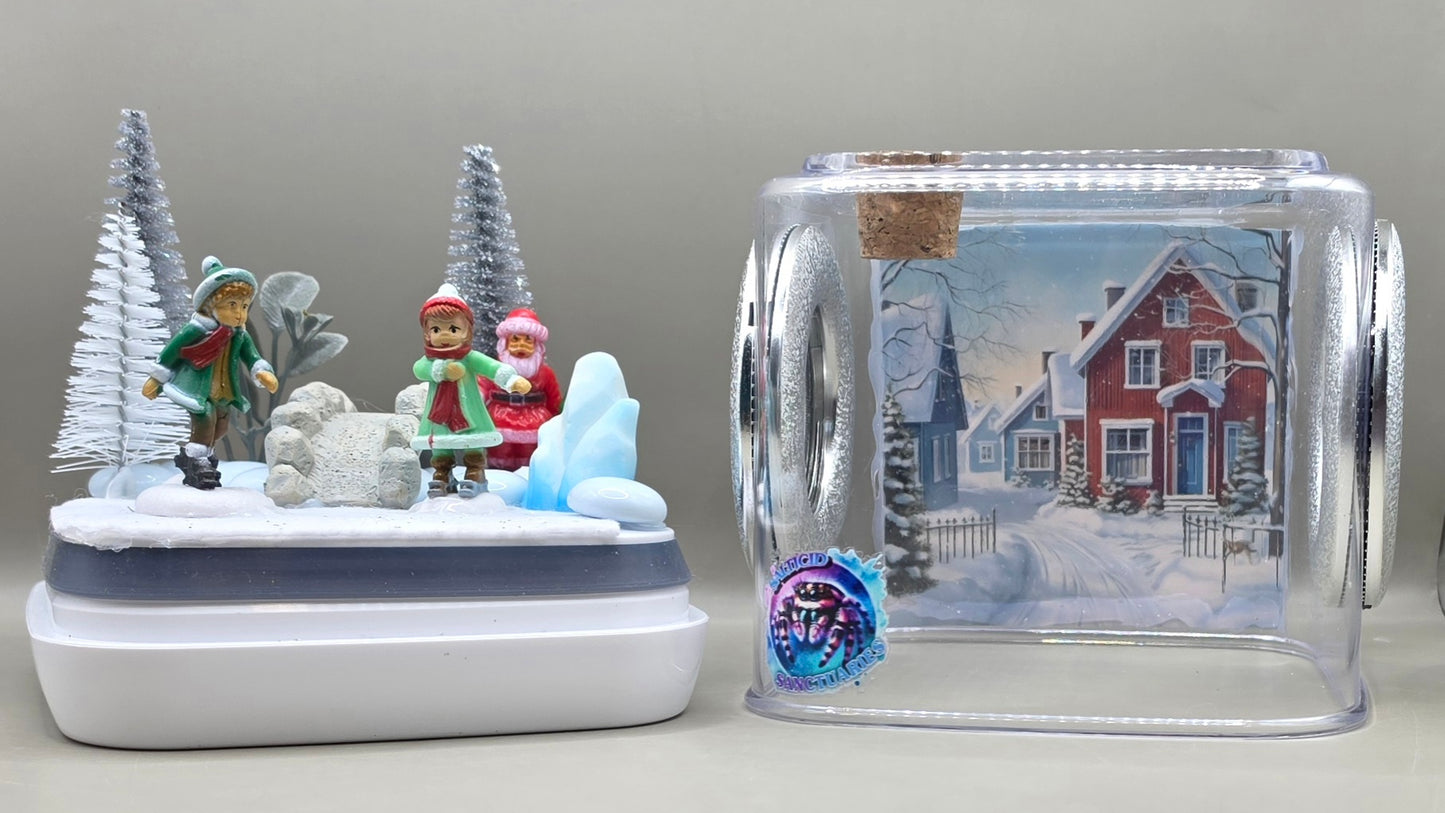 Winter Wonderland Enclosure
