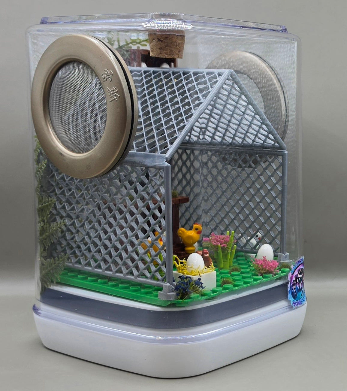 Chicken Coop Enclosure