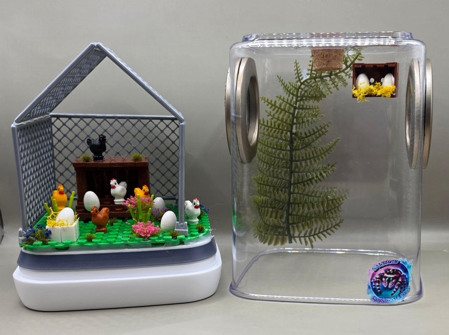 Chicken Coop Enclosure
