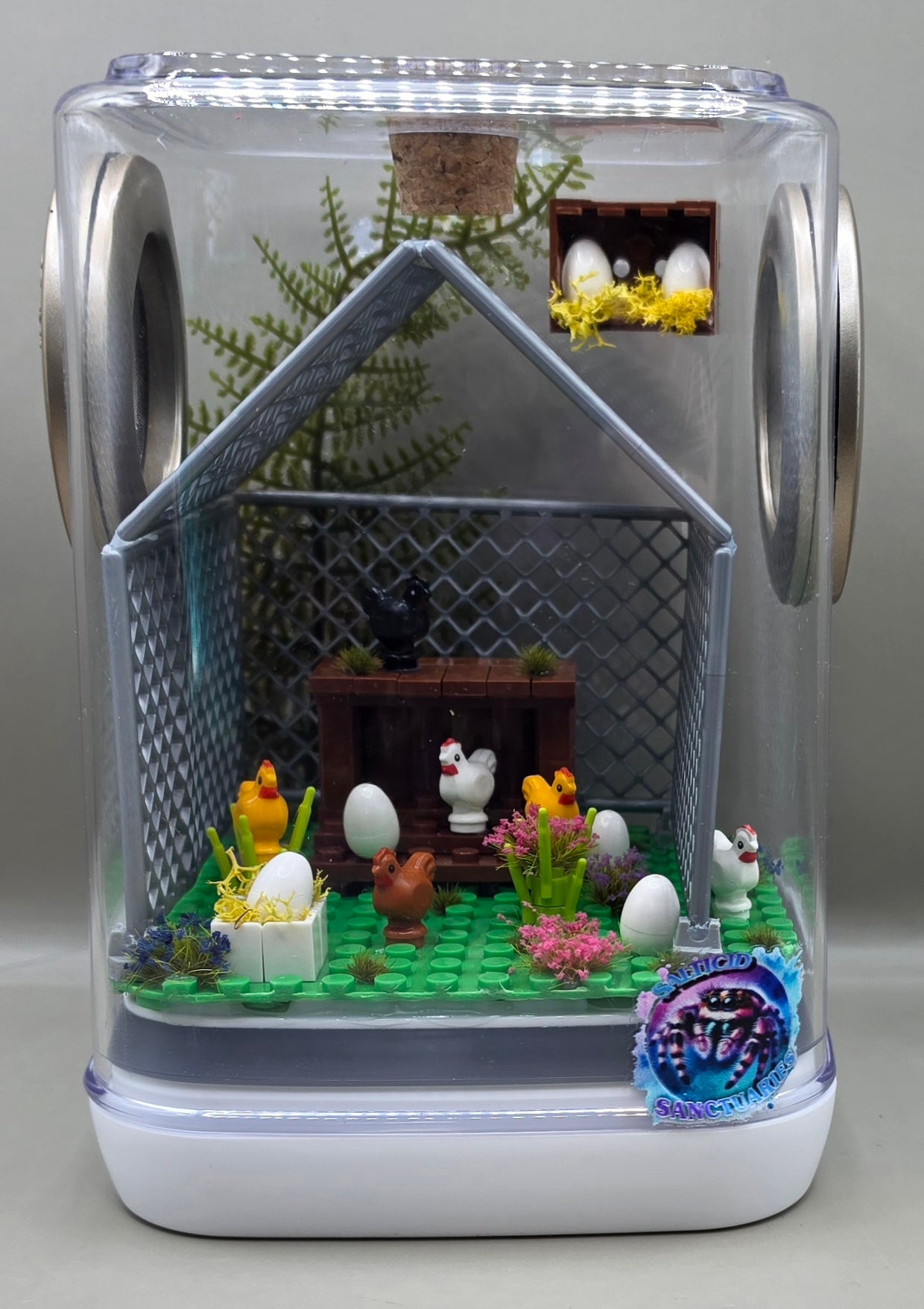 Chicken Coop Enclosure