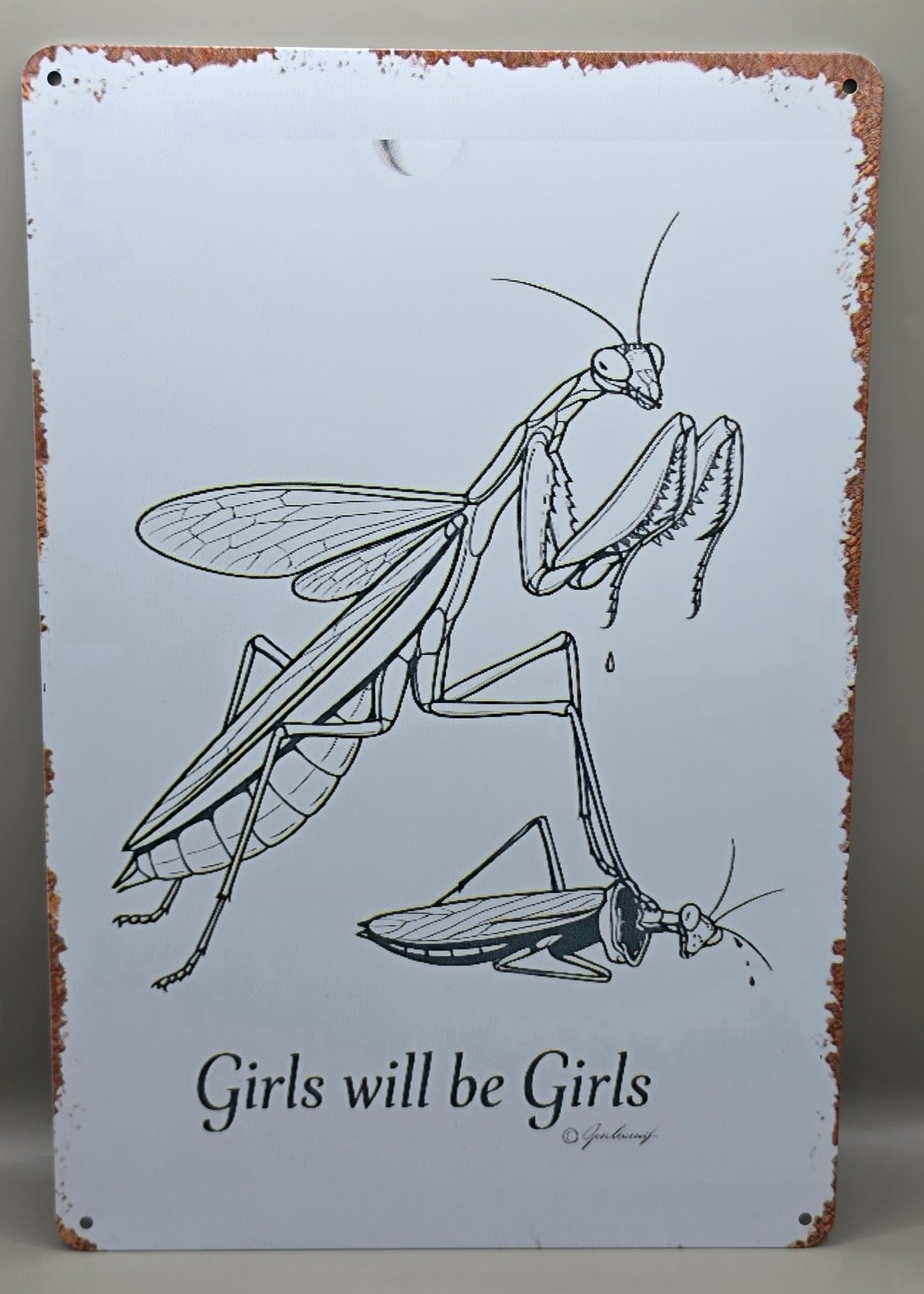 Funny Spider/Mantis Tin Signs (Multiple Styles!)
