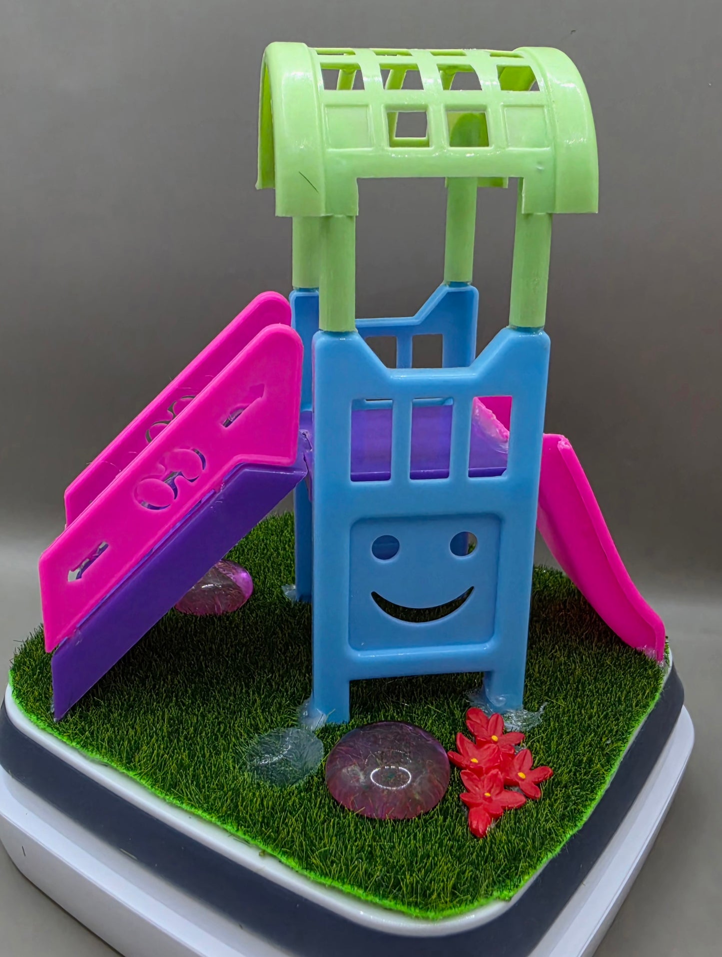 Playground Jumping Spider Enclosure