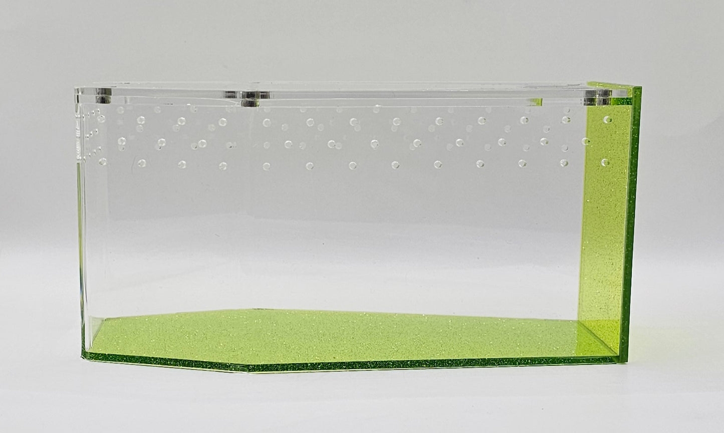 Coffin Jumping Spider Enclosure (6 COLORS!)
