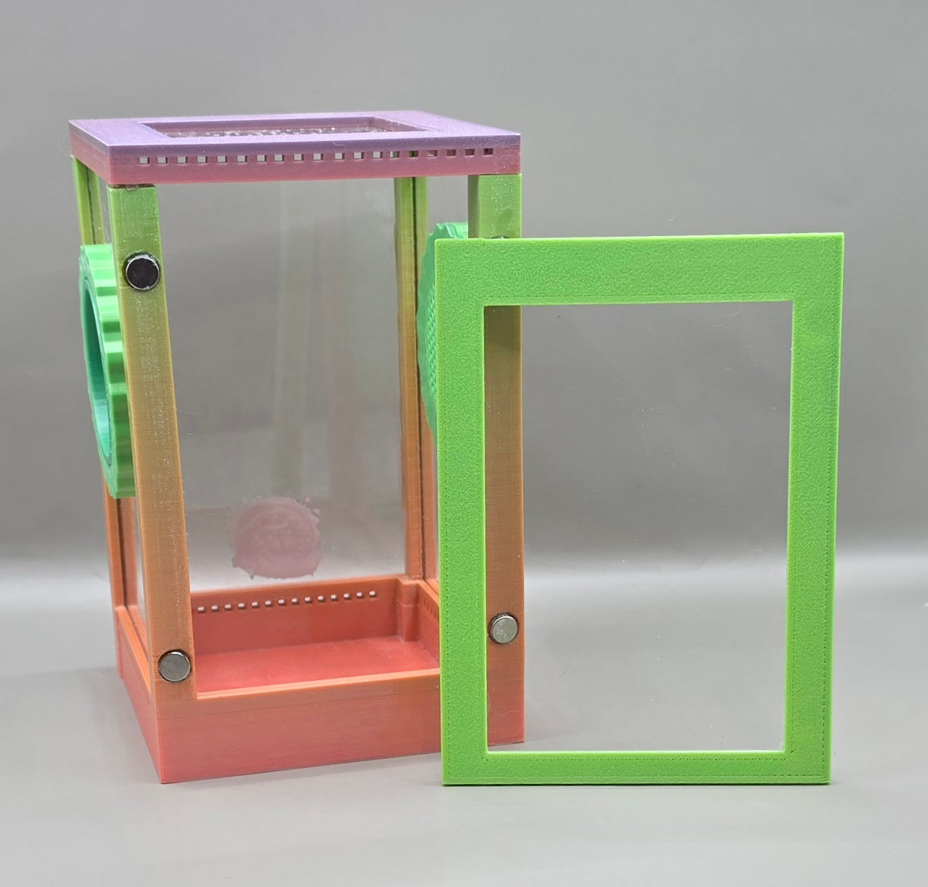 3d Printed Acrylic Jumping Spider Enclosure (Rainbow Sherbert) 4"x4"x6"