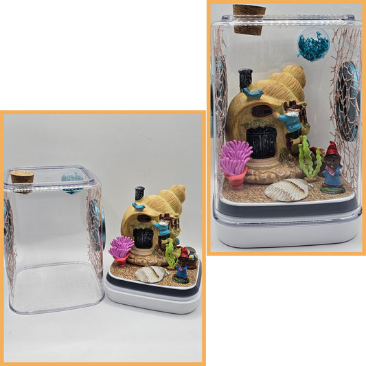 Beach Gnome Enclosure