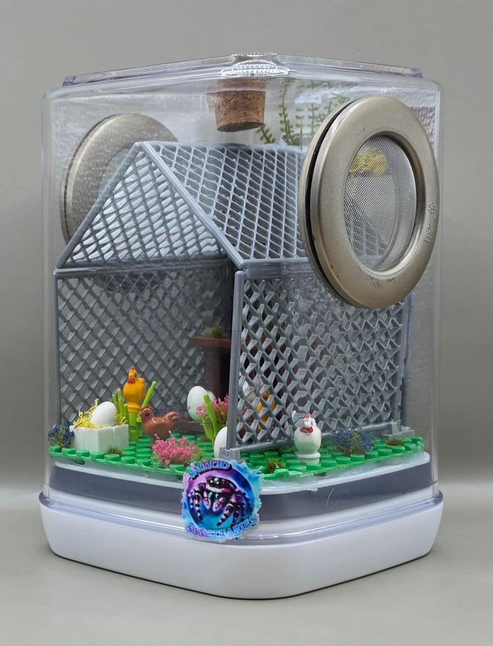 Chicken Coop Enclosure