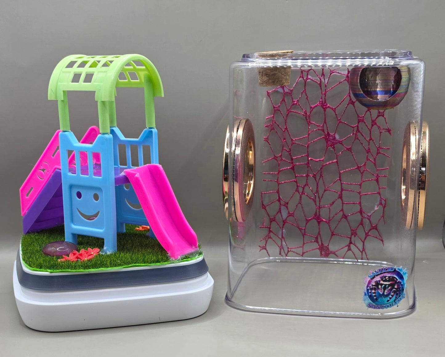 Playground Jumping Spider Enclosure