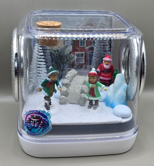 Winter Wonderland Enclosure