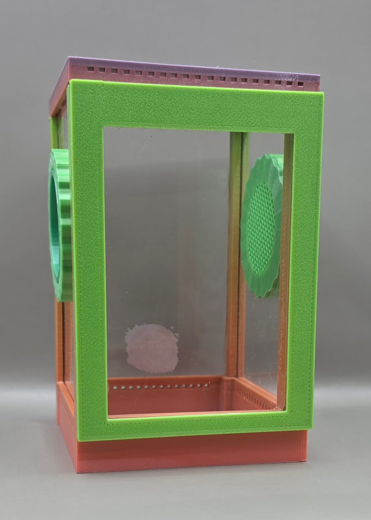 3d Printed Acrylic Jumping Spider Enclosure (Rainbow Sherbert) 4"x4"x6"